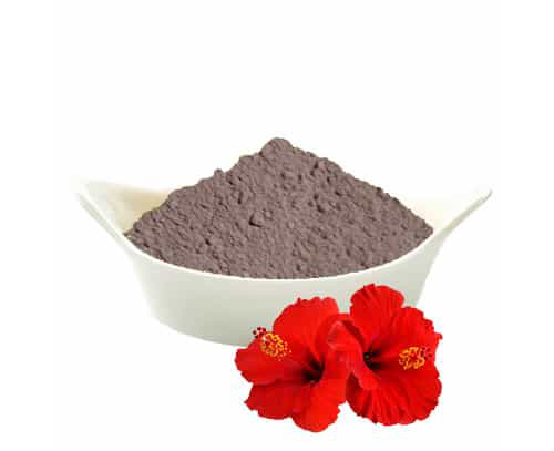 Hibiscus Powder