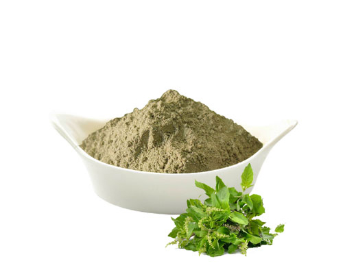 Tulsi Powder