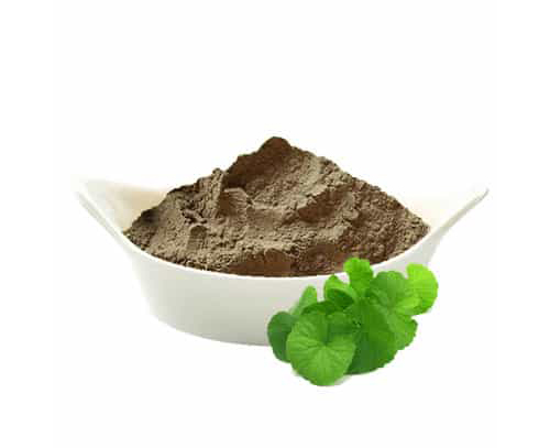 Brahmi Powder