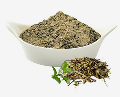 BHRINGRAJ POWDER (ECLIPTA PROSTRATA)