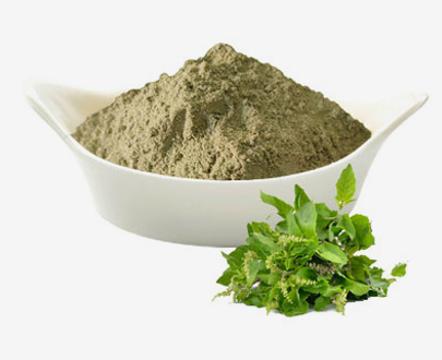 TULSI POWDER (OCIMUM TENUIFLORUM)