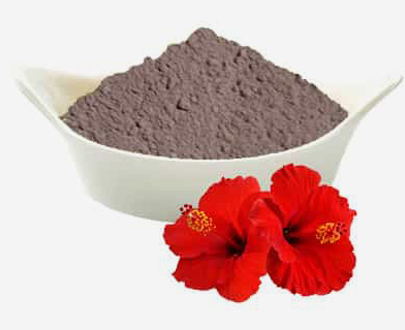 Hibiscus Powder(Hibiscus Rosa-Sinensis)