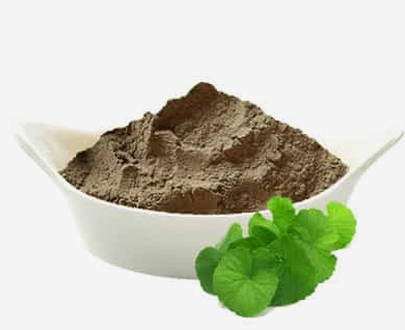 Brahmi Powder ( Bacopa Monnieri )