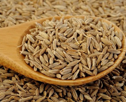 Cumin Seed