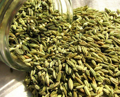 Fennel Seed