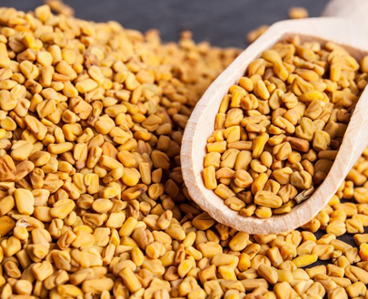 Fenugreek Seed